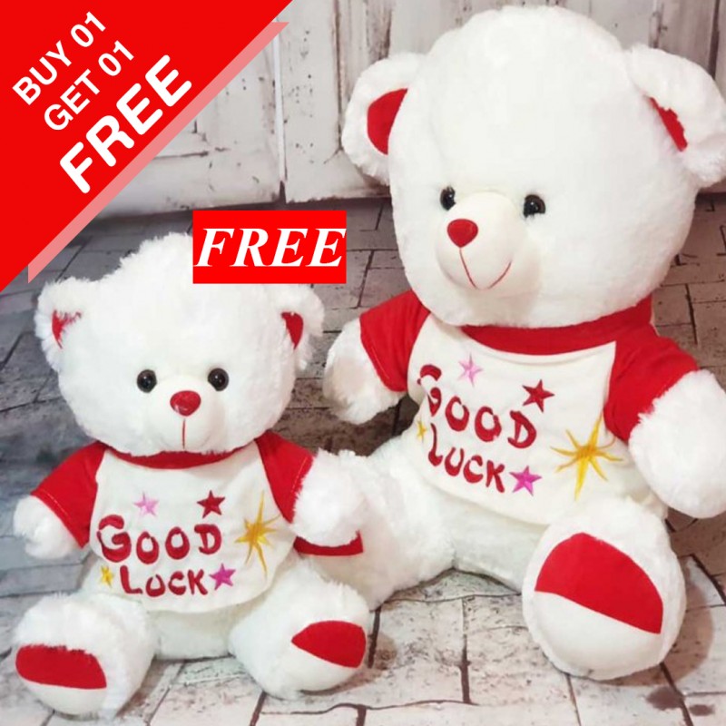 Big & Small Taddy Bear Pack (Buy 01 & Get 01 Free)