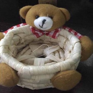 Mini Bear Decorative Basket