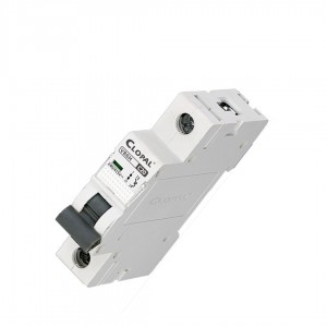 Clopal Safety Circuit Breaker 0.5A, 1A, 2A, 4A, 6A, 10A, 16A, 20A, 32A, 63A - Brand Quality Product