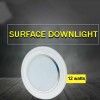 Clopal YE-Series 12W SMD Surface Round Light V-220 Warm/White/Natural